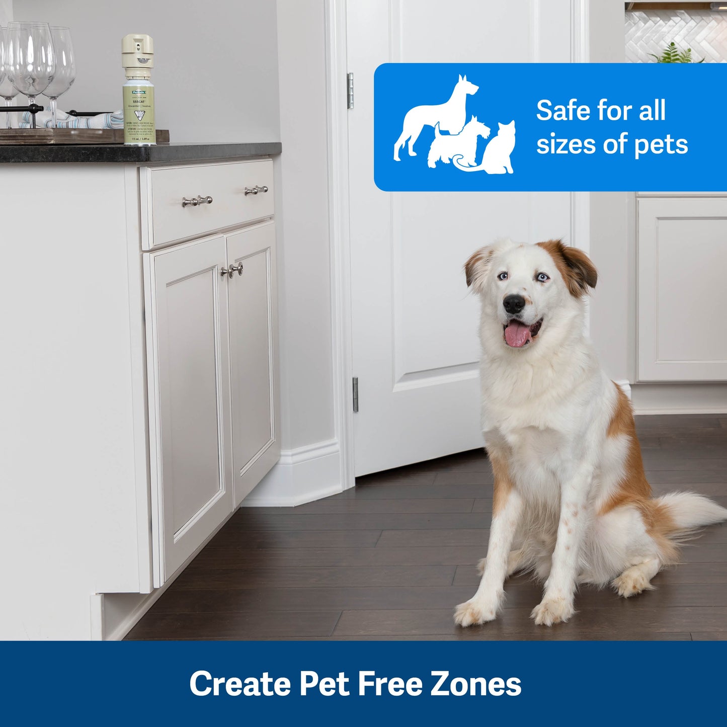 SSSCAT® Spray Pet Deterrent