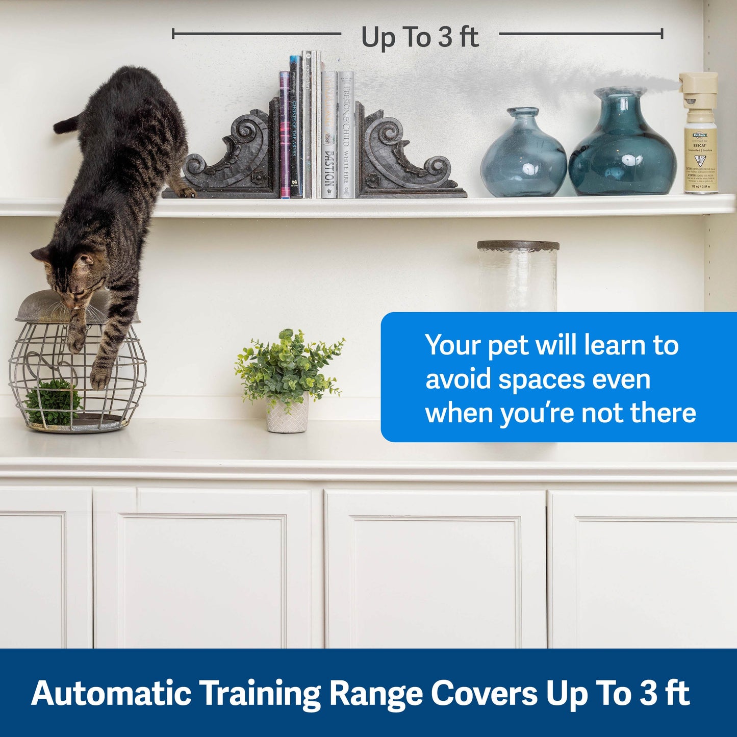 SSSCAT® Spray Pet Deterrent