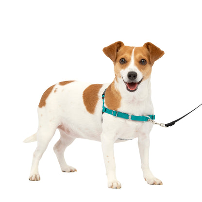 Easy Walk® Harness, No Pull Dog Harness