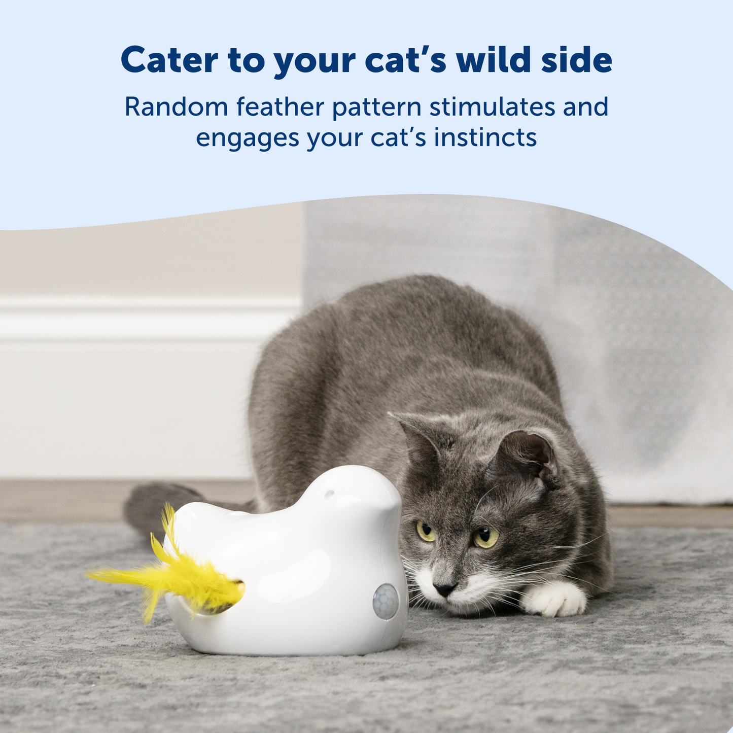 Peek-a-Bird™ Electronic Cat Toy