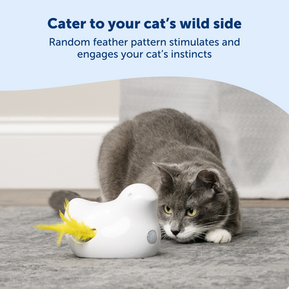 Peek-a-Bird™ Electronic Cat Toy