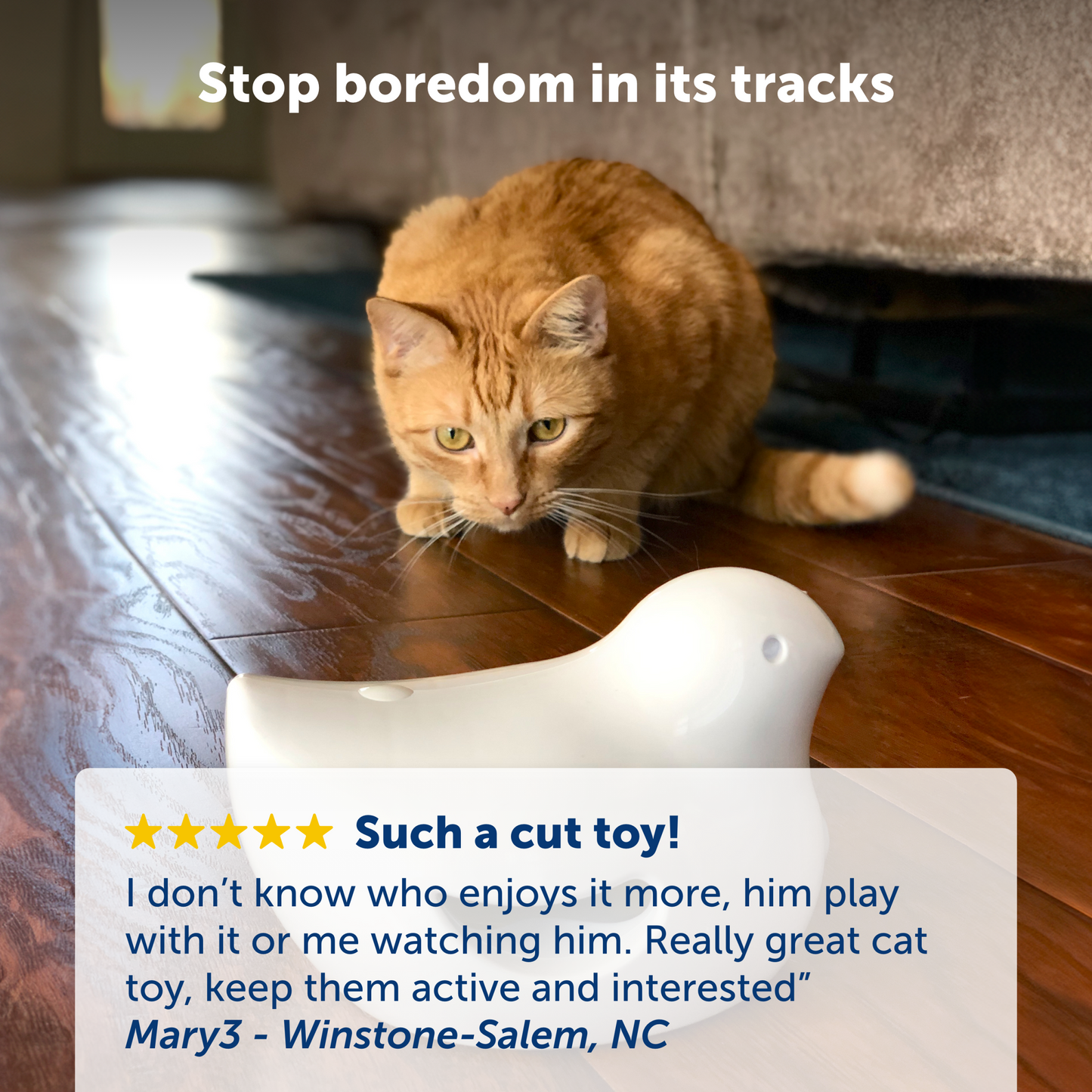 Peek-a-Bird™ Electronic Cat Toy