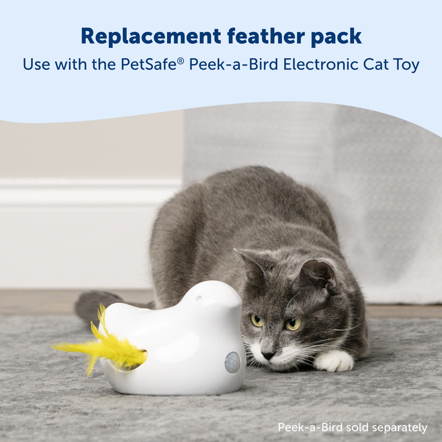 Peek-A-Bird™ Cat Toy Replacement Feathers