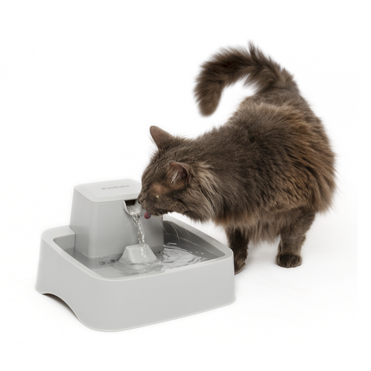 Cat drinking water from a pet fountain on a white background