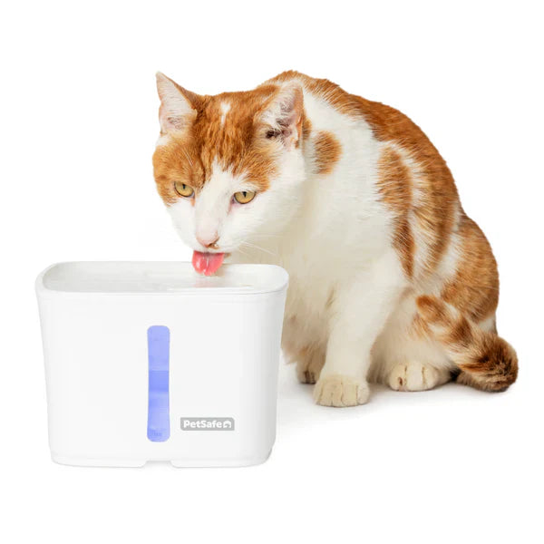 Viva™ Pet Fountain