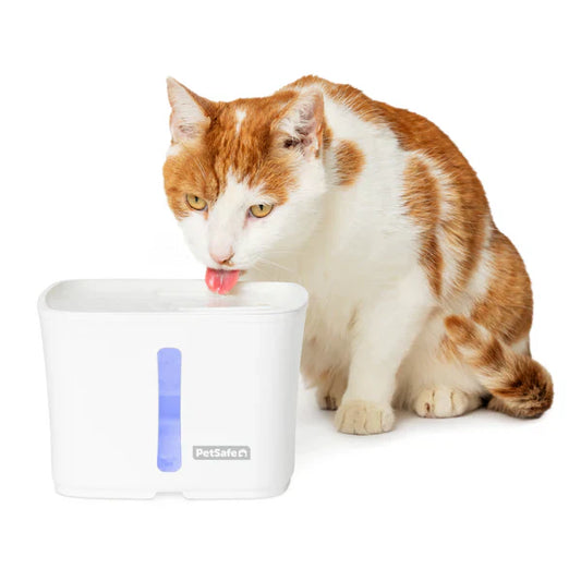 Viva™ Pet Fountain