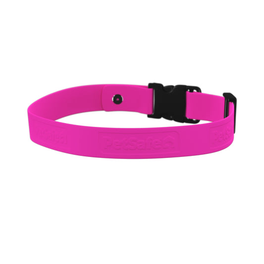 Pink dog collar with a black buckle on a white background