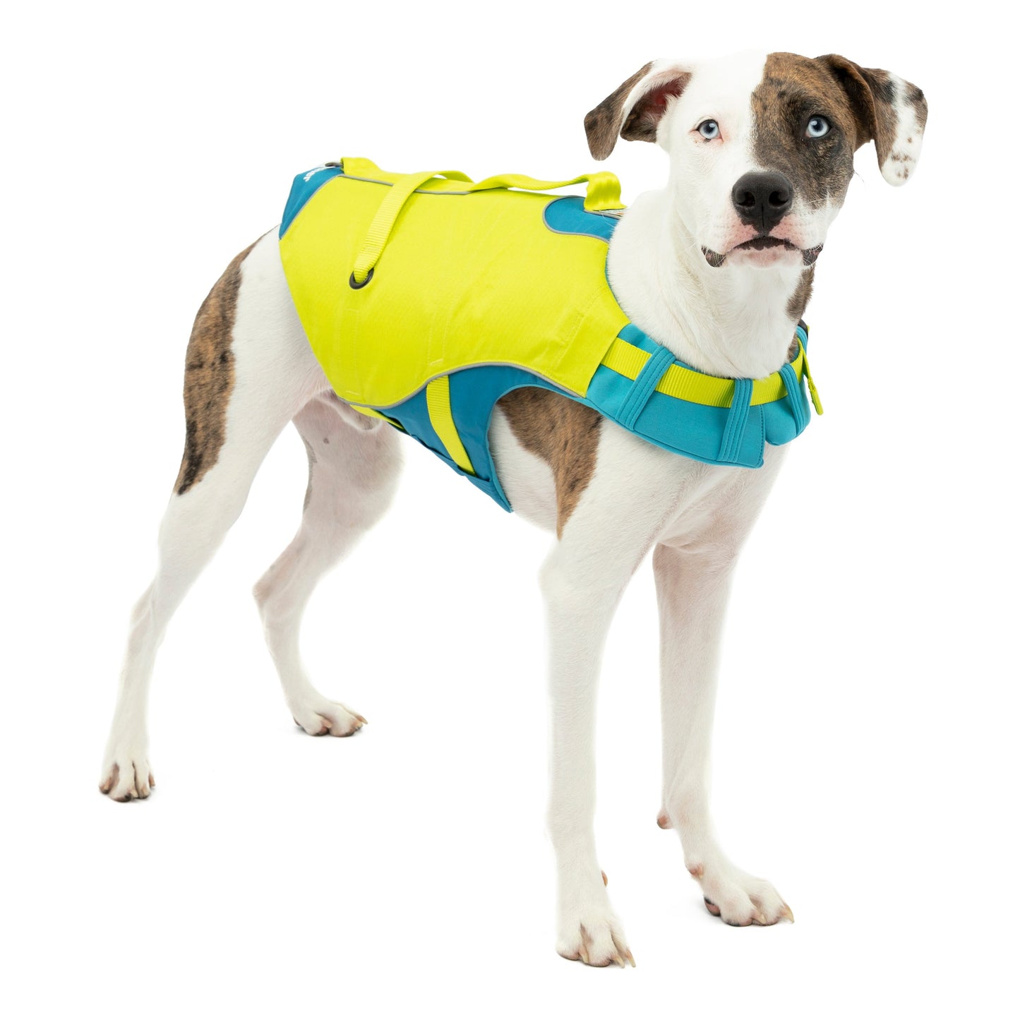 Surf N Turf Dog Life Jacket