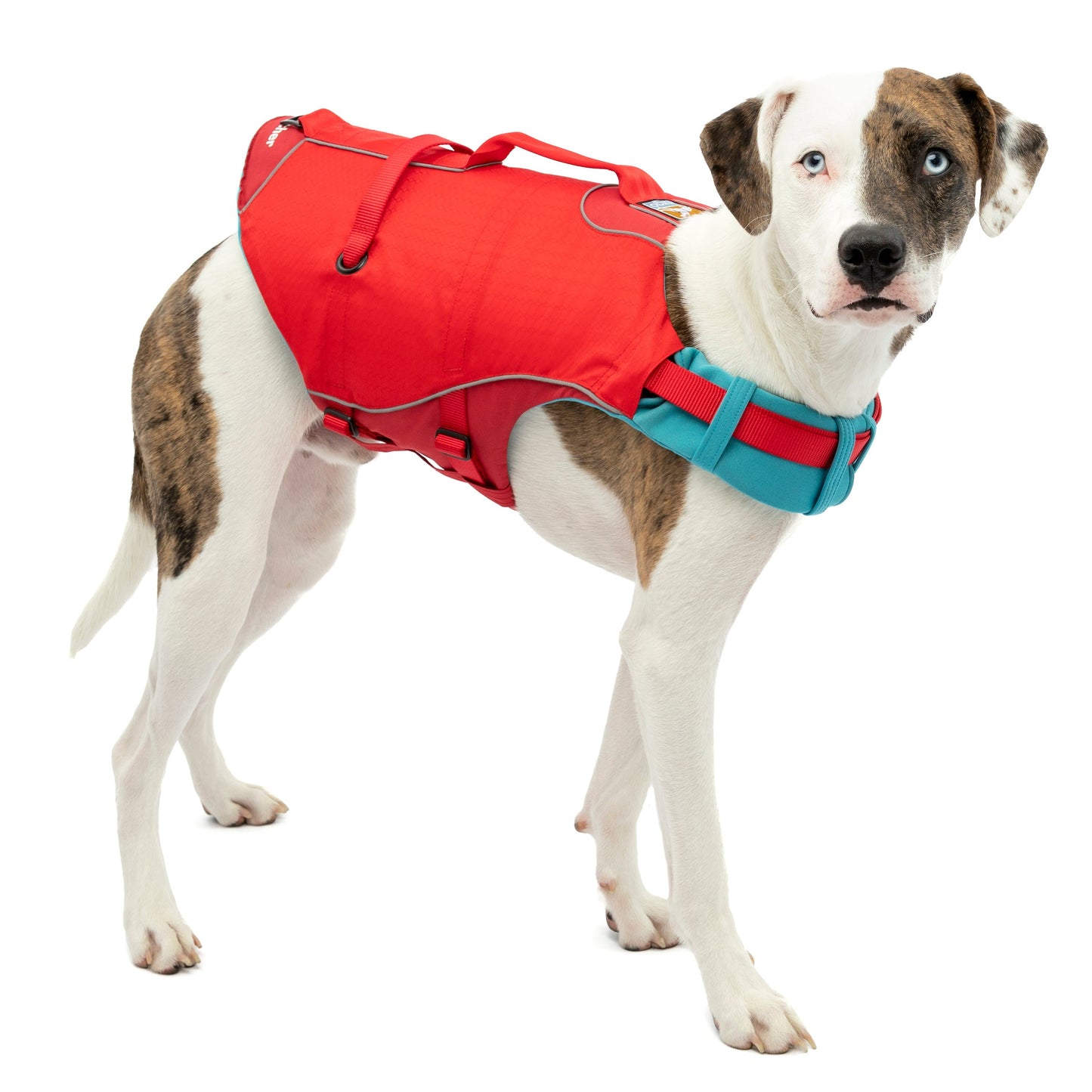 Surf N Turf Dog Life Jacket