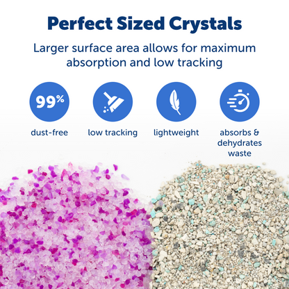 ScoopFree® Crystal Litter, Lavender, 2-Pack