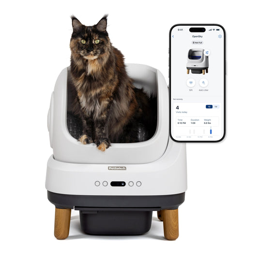 Cat sitting in a self-cleaning litter box with an app interface displayed on a smartphone.