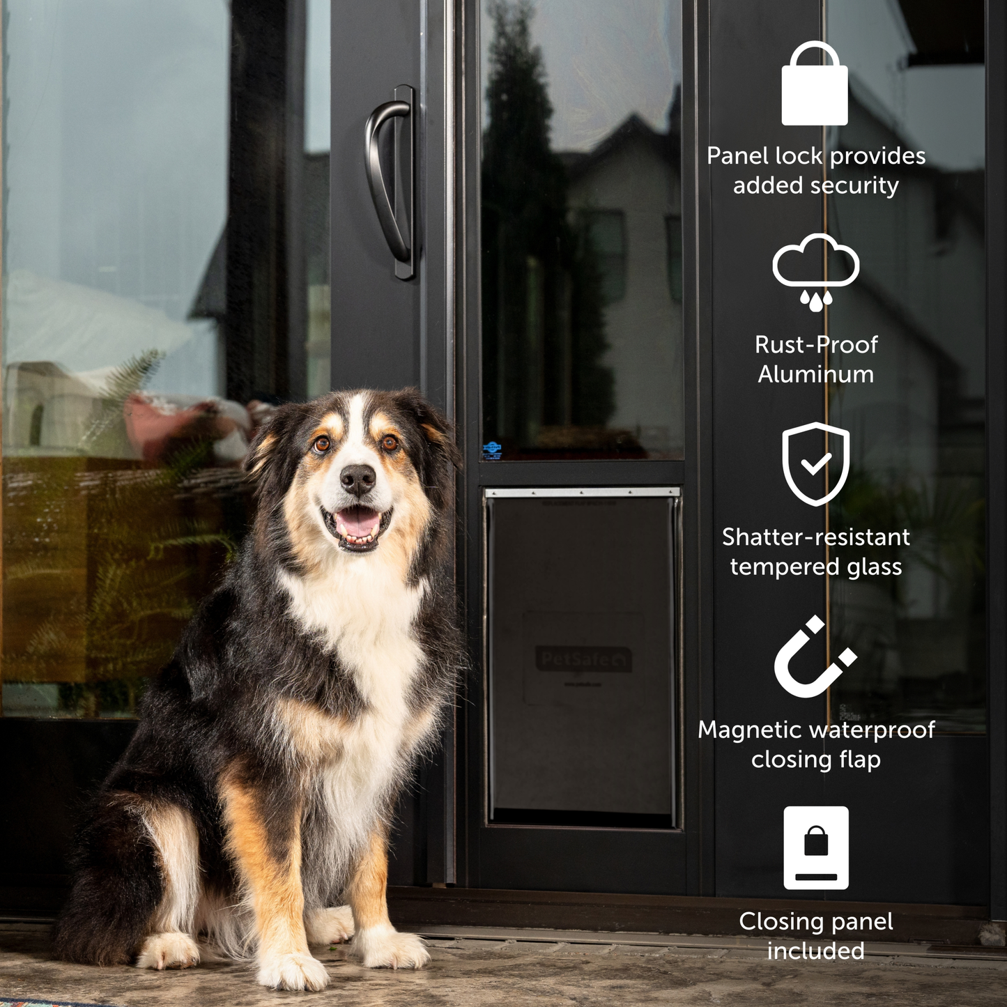 Sliding Glass Pet Door, 1 Piece - 81 in