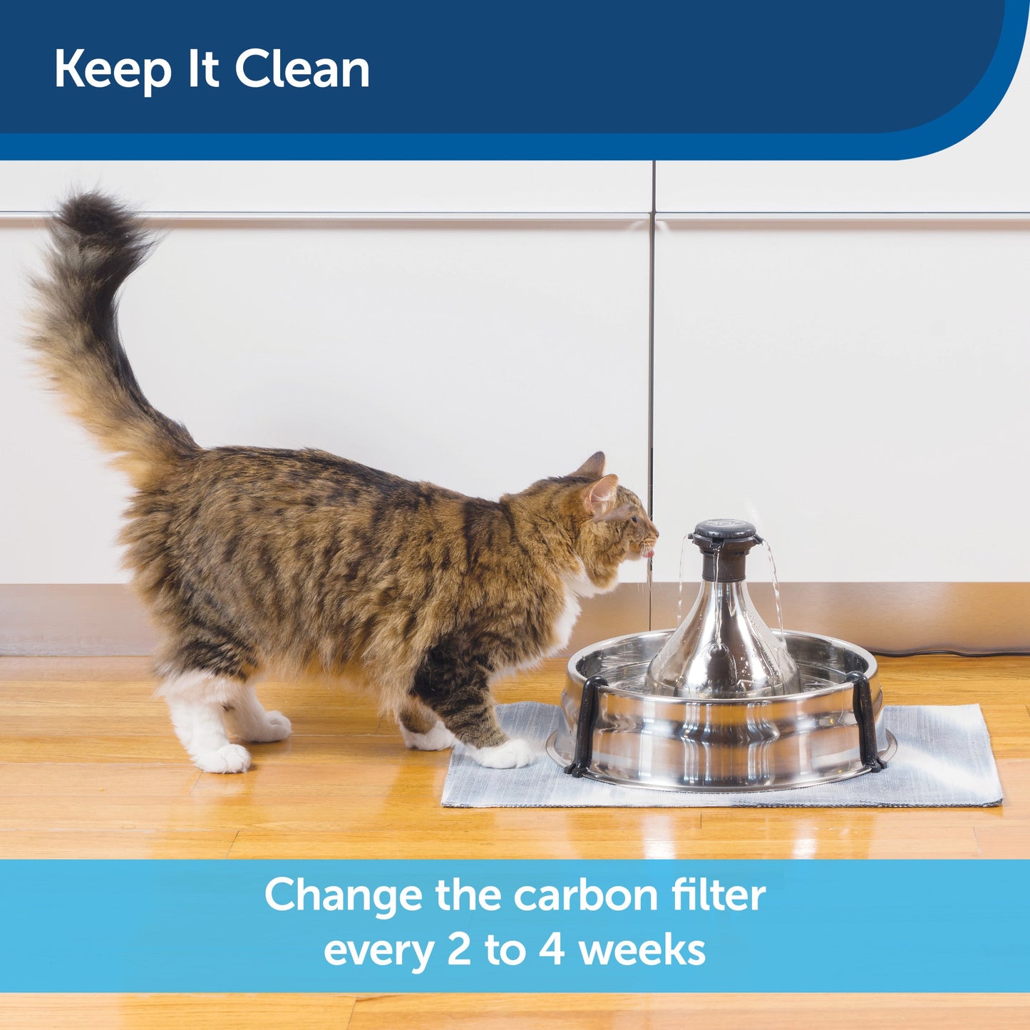 Drinkwell 360™ Fountain Carbon Filters (12-Pack)