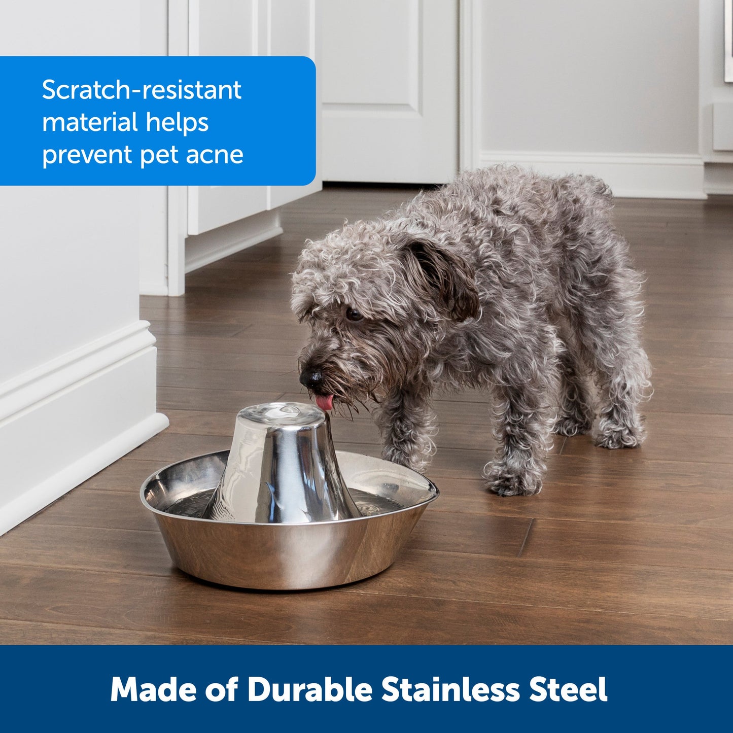 Seaside Stainless Pet Fountain