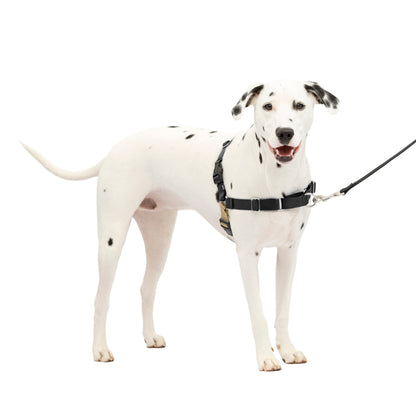 Easy Walk® Harness, No Pull Dog Harness