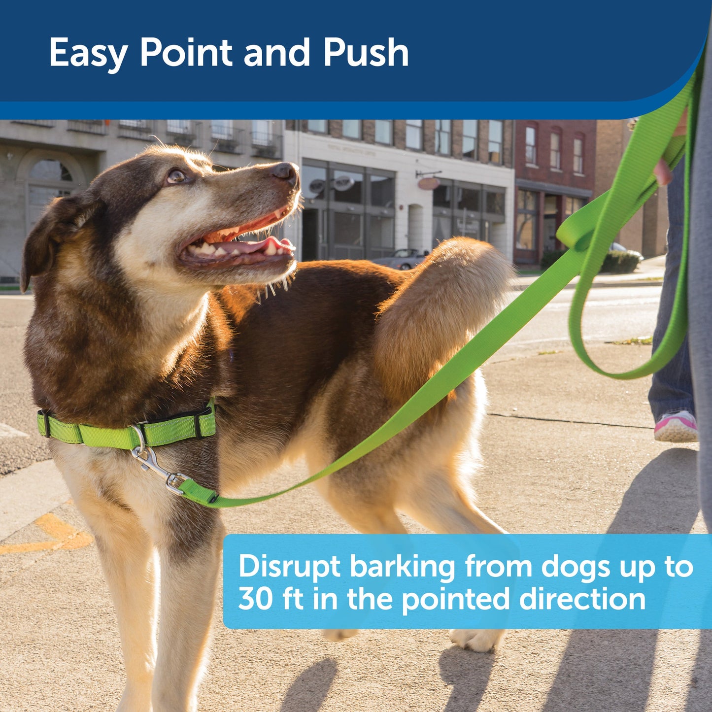 Collarless Ultrasonic Remote Trainer