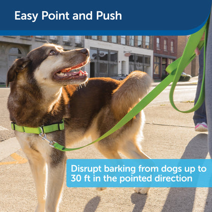 Collarless Ultrasonic Remote Trainer