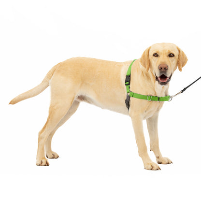 Easy Walk® Harness, No Pull Dog Harness