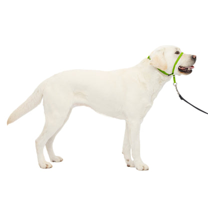 Gentle Leader® Headcollar, No-Pull Dog Collar
