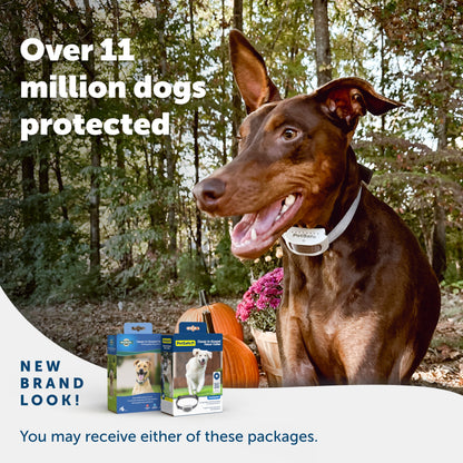 A happy dog enjoying their yard and 2 packaging options you may receive PetSafe has a new brand look Over 11 million dogs protected
