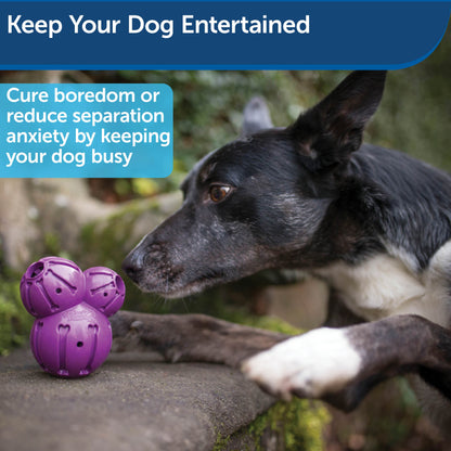 Busy Buddy® Barnacle