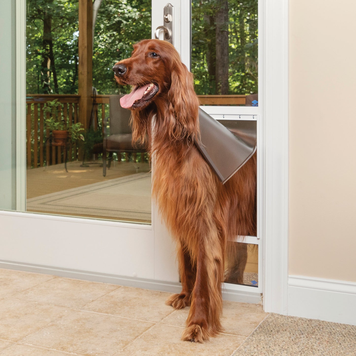 Sliding Glass Pet Door, 1 Piece - 81 in
