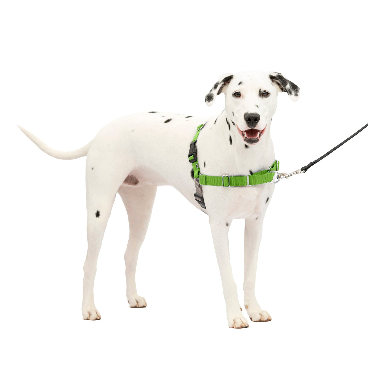 Easy Walk® Harness, No Pull Dog Harness
