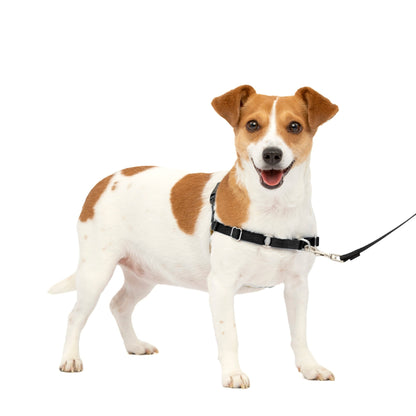 Easy Walk® Harness, No Pull Dog Harness