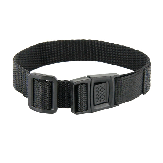 Collar Strap for Cats