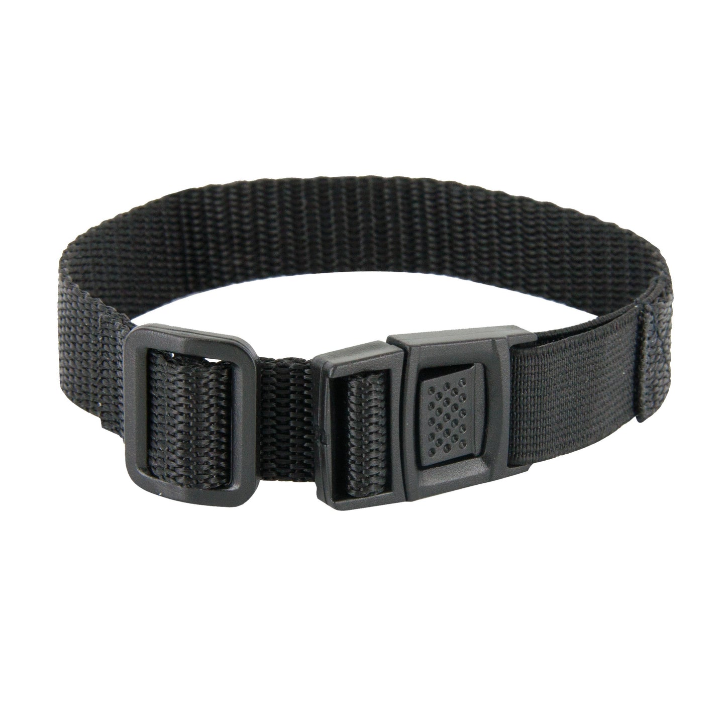 Collar Strap for Cats