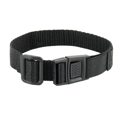 Collar Strap for Cats