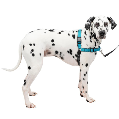Deluxe Easy Walk® Harness