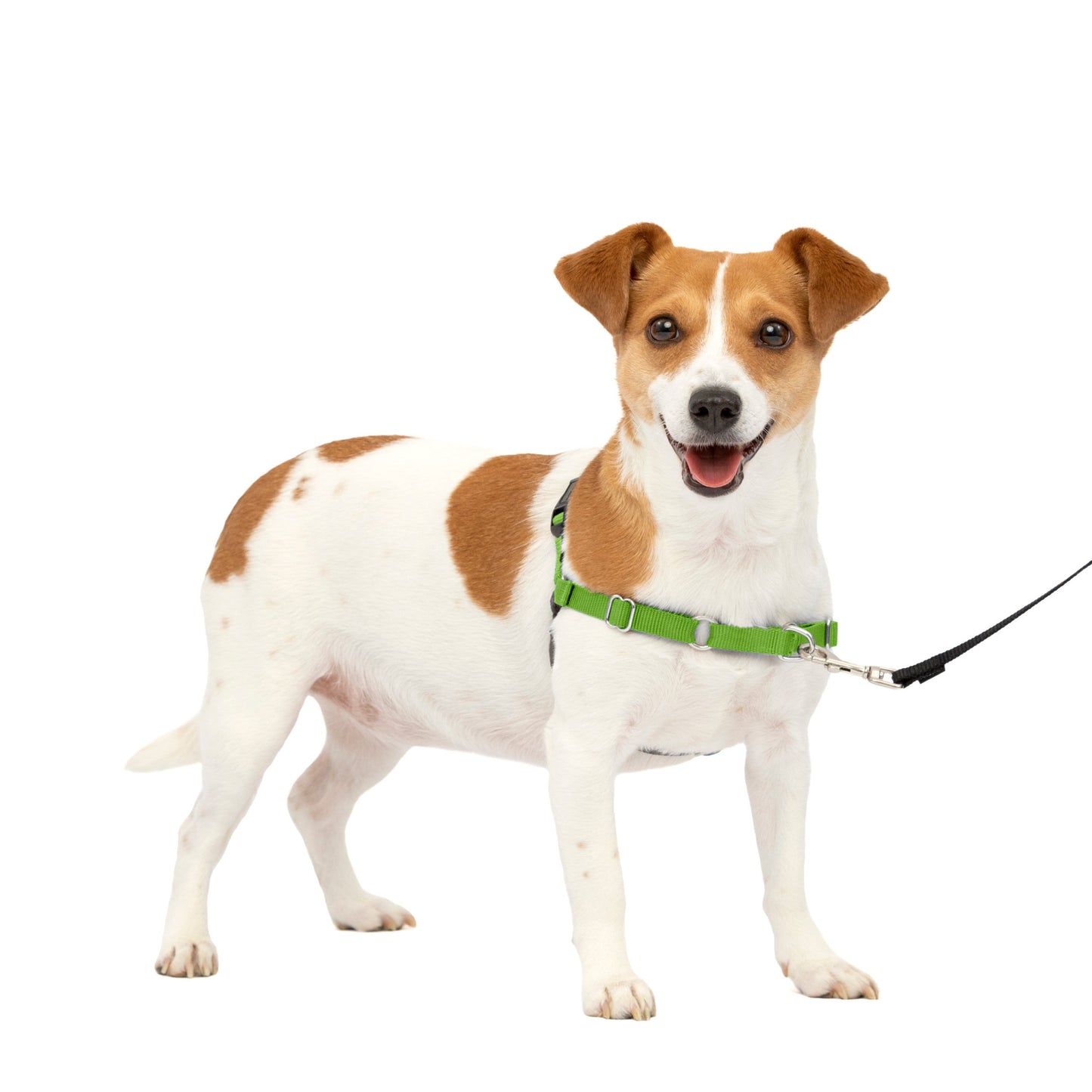 Easy Walk® Harness, No Pull Dog Harness