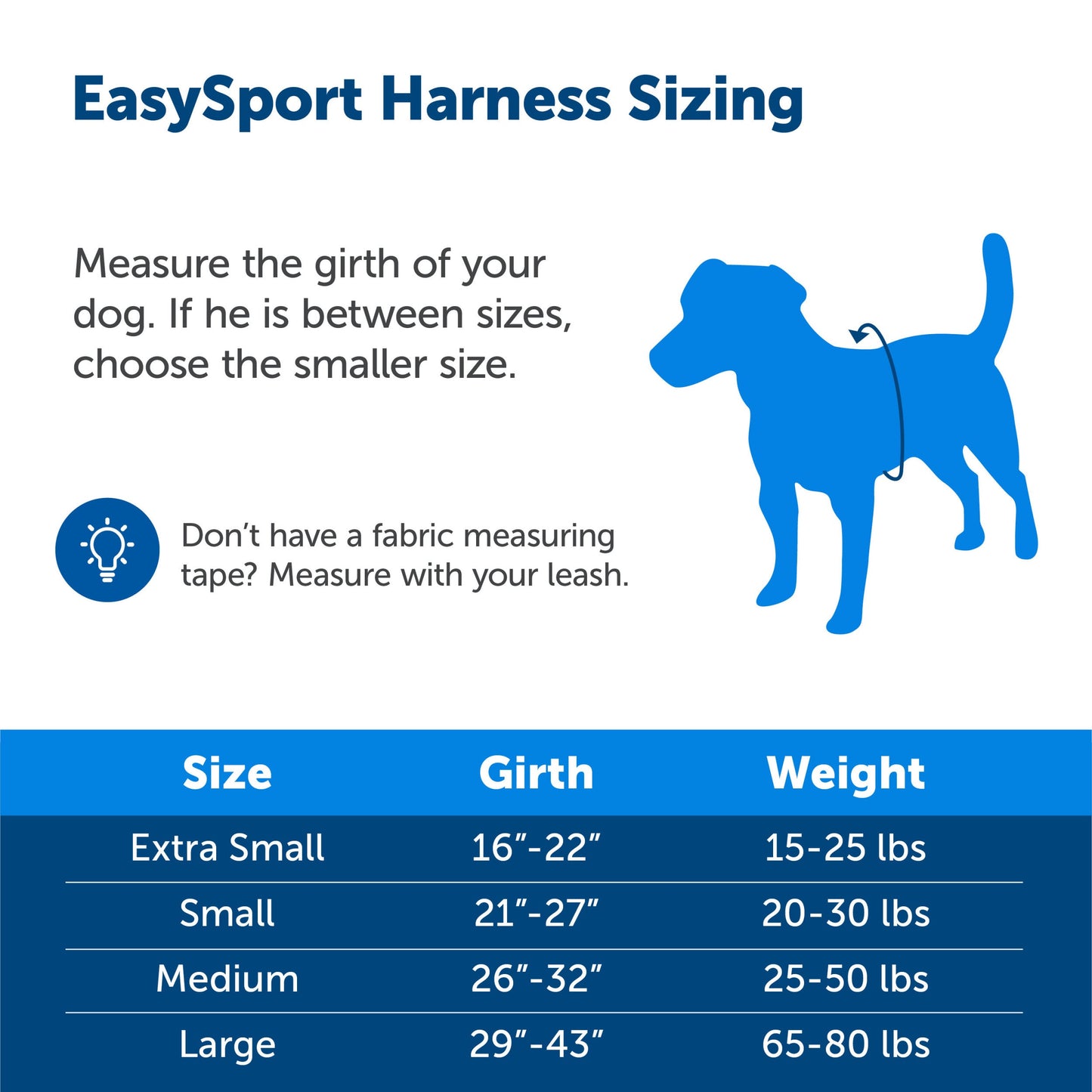 EasySport Harness