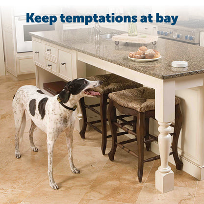 dog by a table with food on it with text overlay that says keep temptations at bay