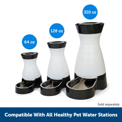 Healthy Pet Water Filter, 2-Pack