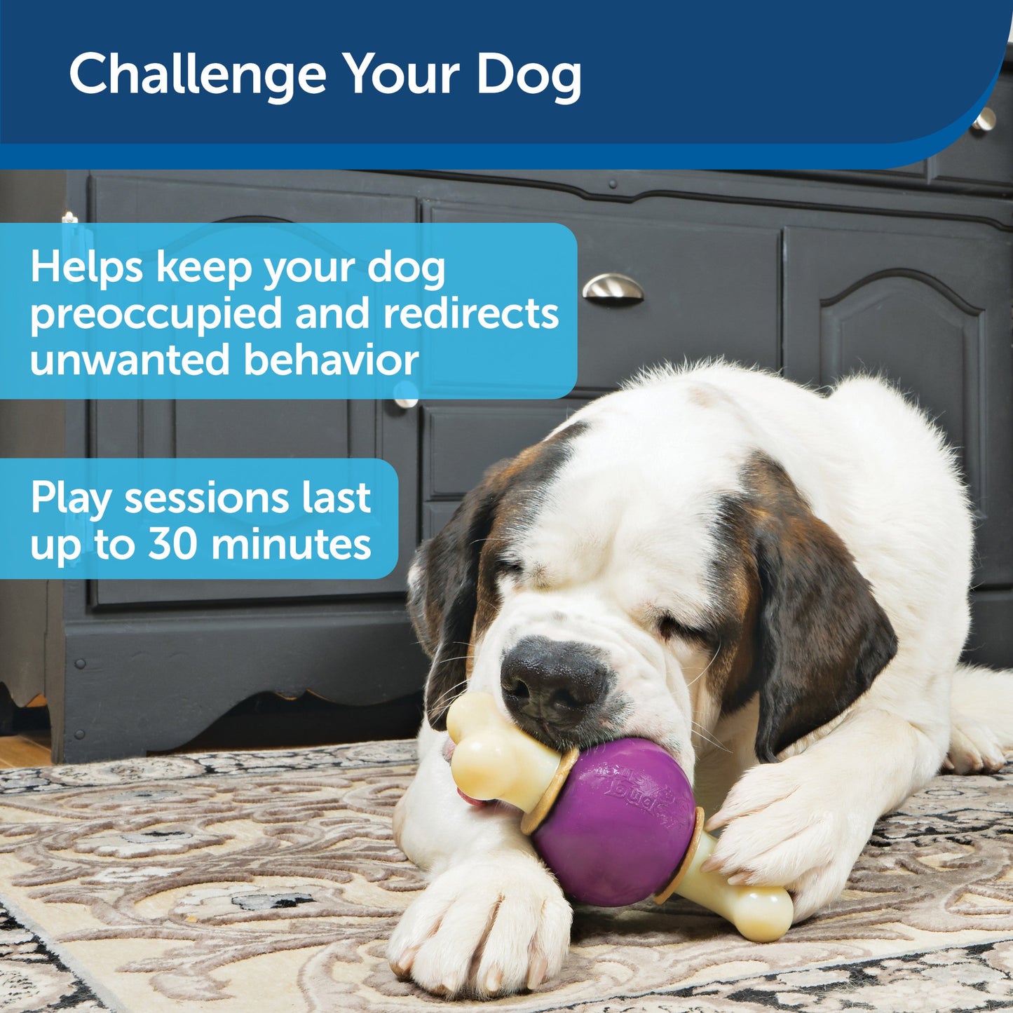 Busy Buddy® Bouncy Bone™