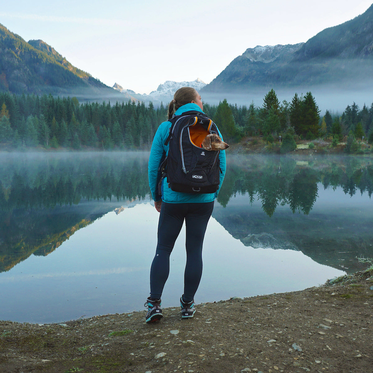 G-Train Dog Carrier Backpack