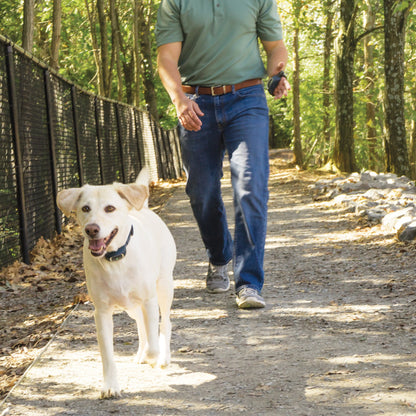 Remote Trainer Transmitter Hand Strap
