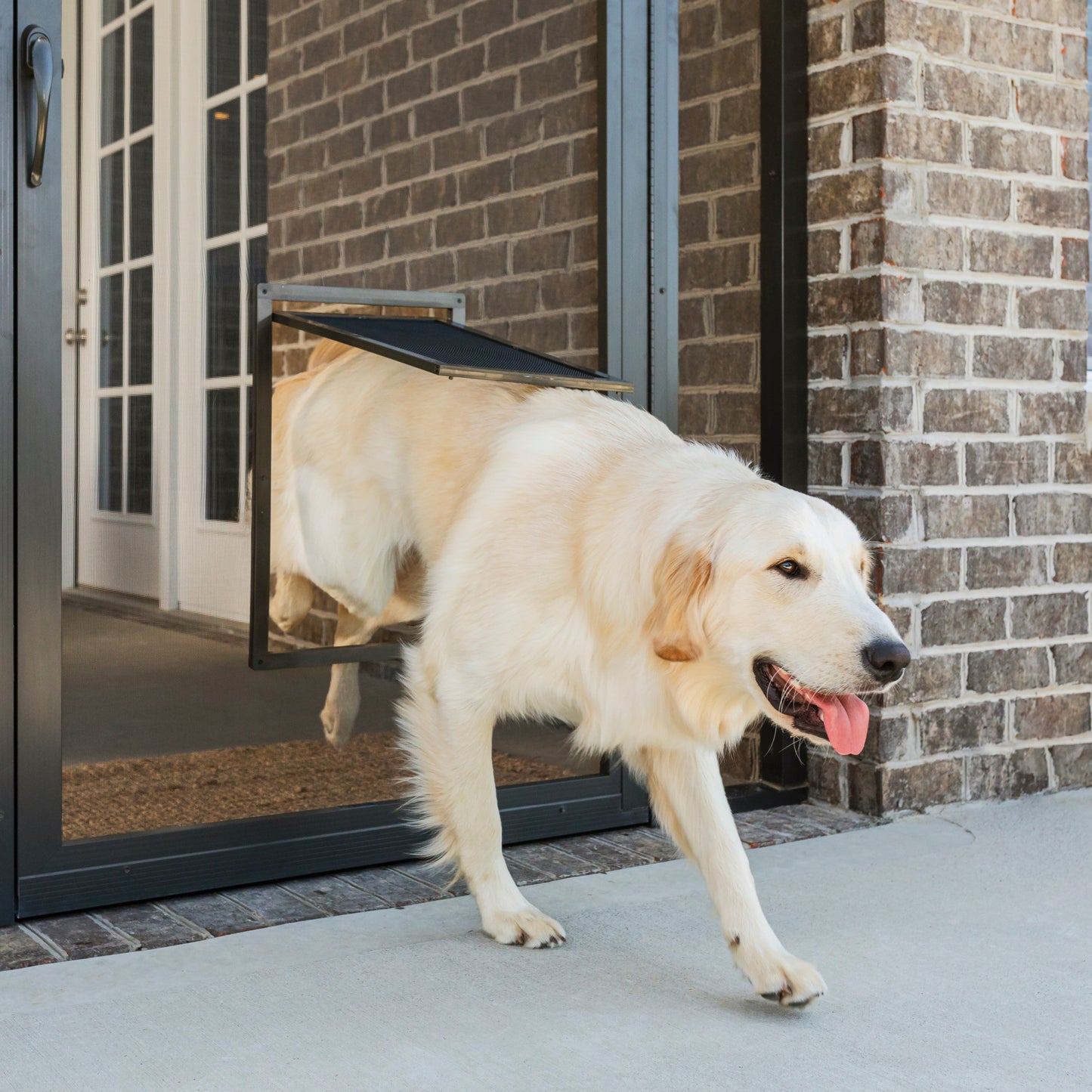 Pet Screen Door