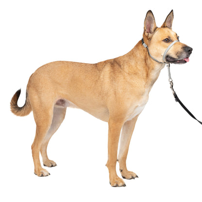 Gentle Leader® Headcollar, No-Pull Dog Collar
