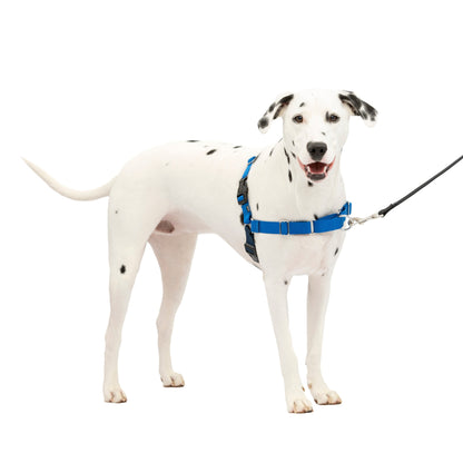 Easy Walk® Harness, No Pull Dog Harness