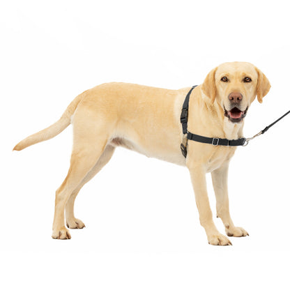 Easy Walk® Harness, No Pull Dog Harness