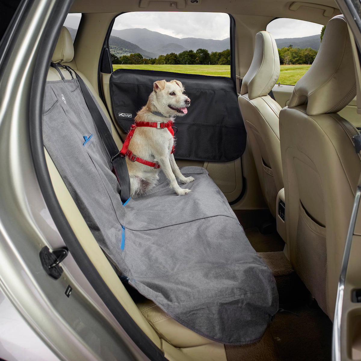 Rover Car Door Guard