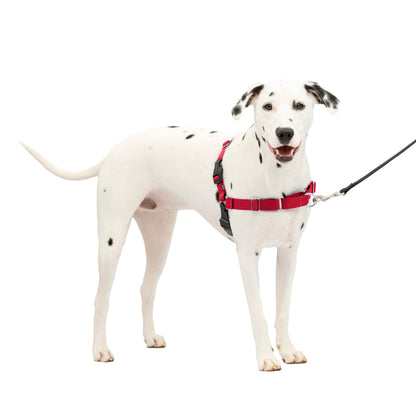 Easy Walk® Harness, No Pull Dog Harness