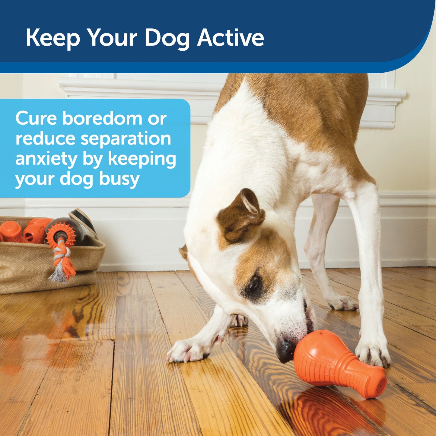 Squeak 'n Treat Booya