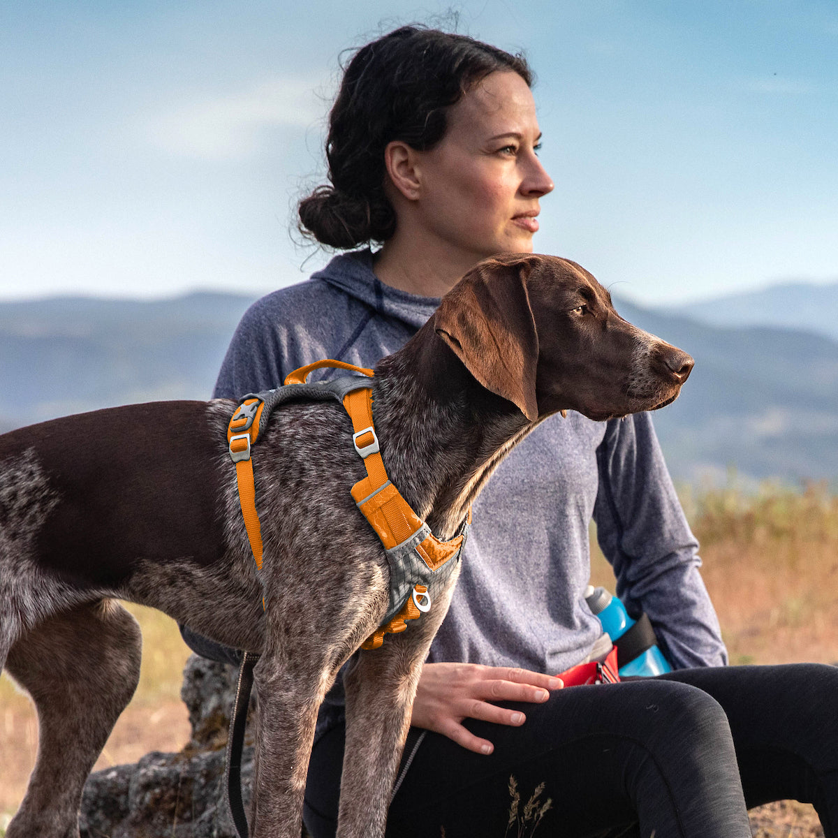Journey Air Dog Harness