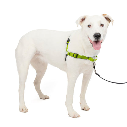 Deluxe Easy Walk® Harness