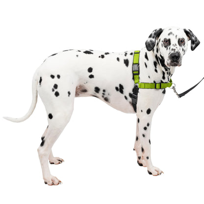 Deluxe Easy Walk® Harness