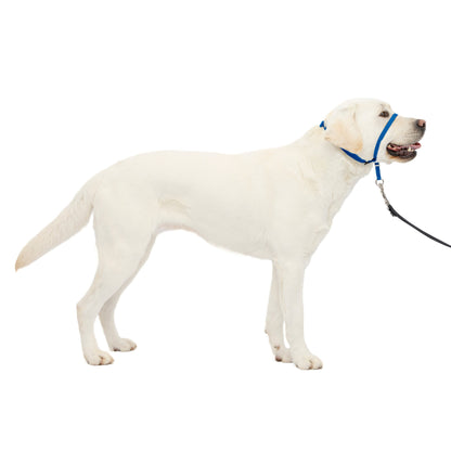Gentle Leader® Headcollar, No-Pull Dog Collar